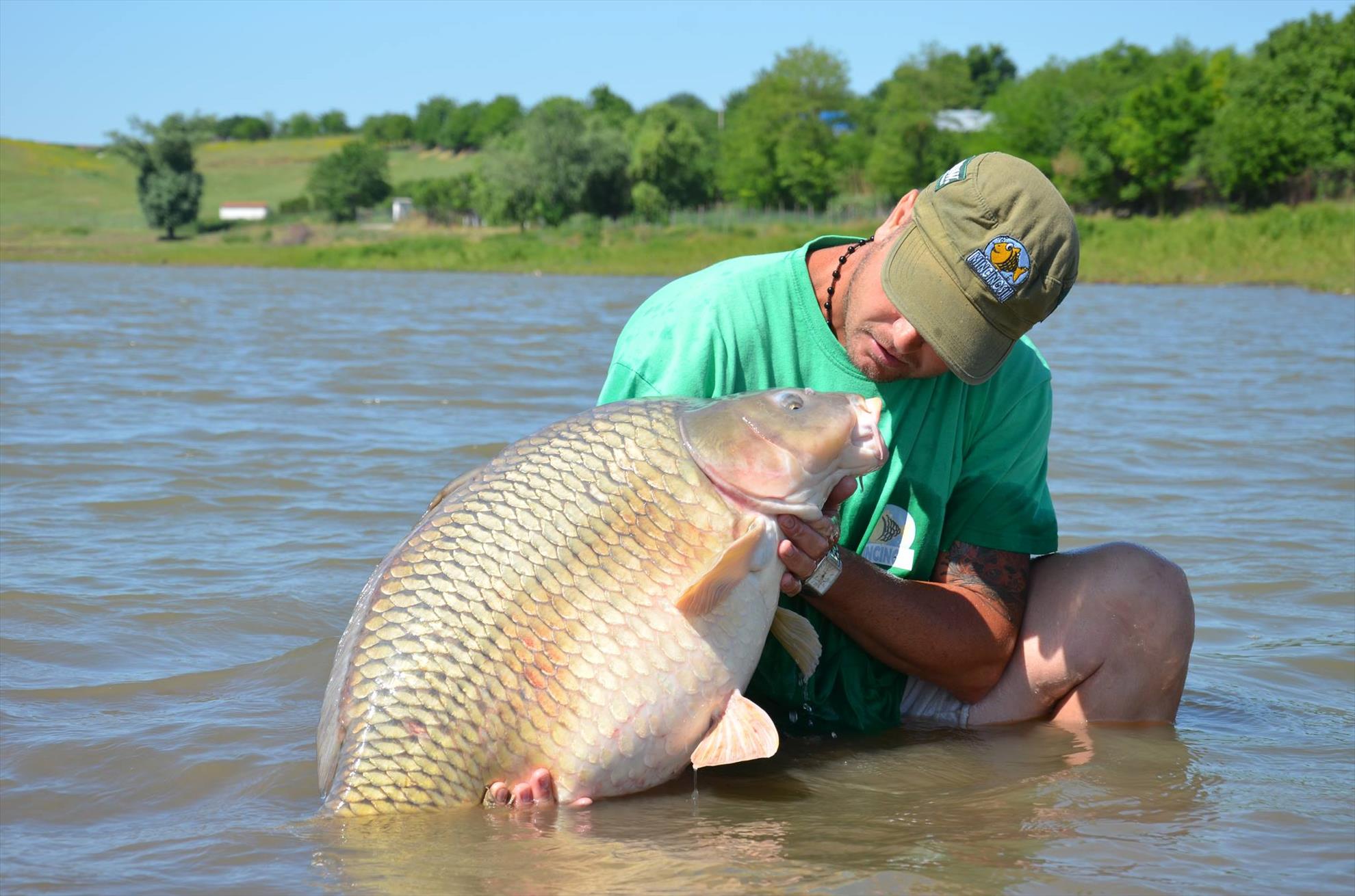 crapi de sarulesti - 12943726611698606106632146764496o.jpg